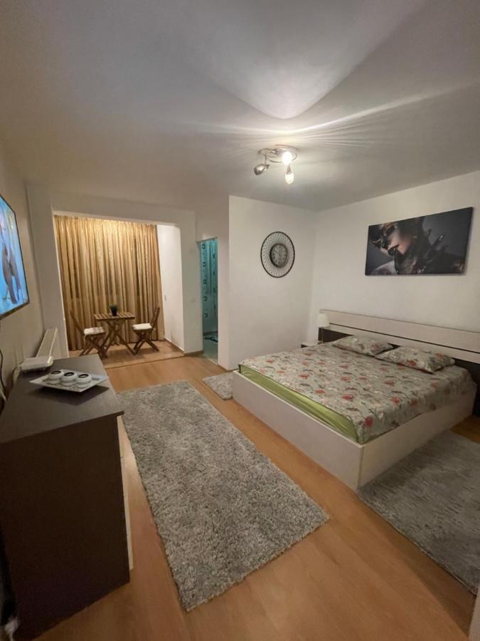 Garsoniera Single 19 Apartament